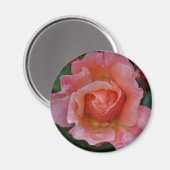Magneet - Roze Roos (Voorkant / Achterkant)