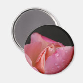 Magneet - Roze rozenknop (Voorkant / Achterkant)