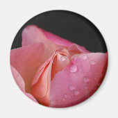 Magneet - Roze rozenknop (Voorkant)