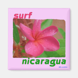 Magneet - surf Nicaragua