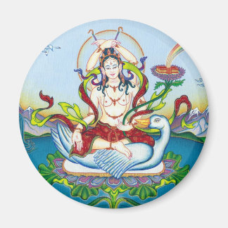 MAGNEET Tara Bescherming tegen giftige stoffen
