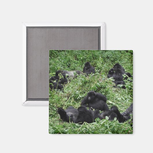 Magneet van berggorillagroep (Voorkant / Achterkant)