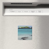 Magneet van de Galapagoseilanden (Insitu (Vaatwasser))