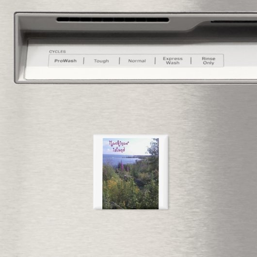 Magneet van het eiland Mackinaw (Insitu (Vaatwasser))