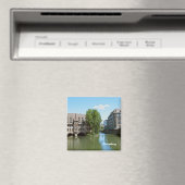 Magneet van Neurenberg (Insitu (Vaatwasser))