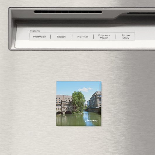 Magneet van Neurenberg (Insitu (Vaatwasser))