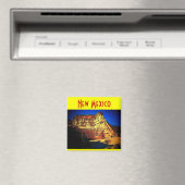 Magneet van New Mexico (Insitu (Vaatwasser))