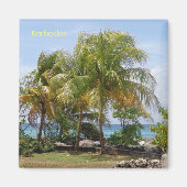 Magneet van Palmen in Barbados (Voorkant)