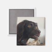 Magneet verwarde hond meme (Voorkant / Achterkant)