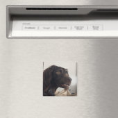 Magneet verwarde hond meme (Insitu (Vaatwasser))