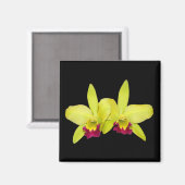 Magneet, vierkant, 2 geel-groene cattleyas magneet (Voorkant / Achterkant)