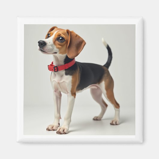 Magneet voor diverse toepassingen (Voorkant)