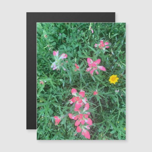 magneet voor gemengde bloemen (Voorkant / Achterkant)