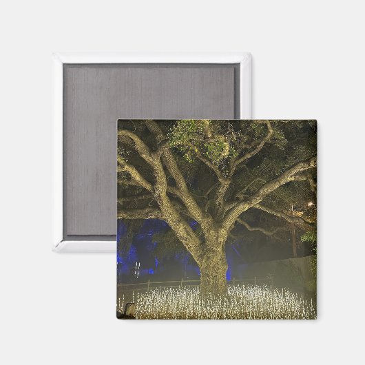 Magneet voor Lichtboom (Voorkant / Achterkant)