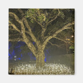 Magneet voor Lichtboom (Voorkant)