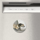 Magneet voor vermoeide hond, aanpasbaar (Insitu (Vaatwasser))