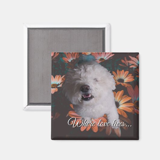 Magneet Waar Liefde Woont (Voorkant / Achterkant)