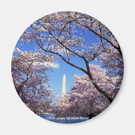 Magneet / Washington Monument (Voorkant)