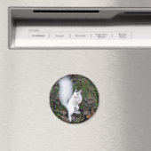 magneet - Witte eekhoorn (Insitu (Vaatwasser))