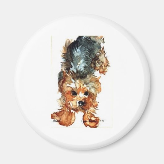 Magneet - Yorkshire Terrier (Voorkant)