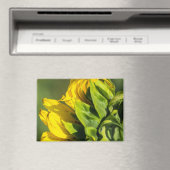 Magneet - Zonnebloem Achterprofiel (Insitu (Vaatwasser))