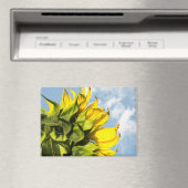 Magneet - Zonnebloem En Lucht (Insitu (Vaatwasser))