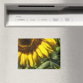 Magneet - Zonnebloem Geheim (Insitu (Vaatwasser))