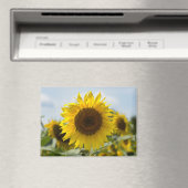Magneet - Zonnebloem In Het Veld (Insitu (Vaatwasser))