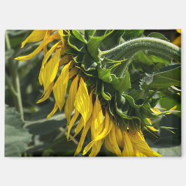Magneet - Zonnebloem Profiel