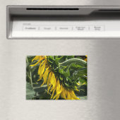 Magneet - Zonnebloem Profiel (Insitu (Vaatwasser))