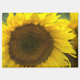 Magneet - Zonnebloem Zomer Gevoel