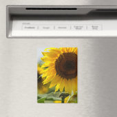 Magneet - Zonnebloem Zomer Pracht (Insitu (Vaatwasser))