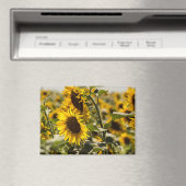 Magneet - Zonnebloemen Op Het Veld (Insitu (Vaatwasser))