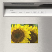 Magneet - Zonnebloemen Solidariteit (Insitu (Vaatwasser))