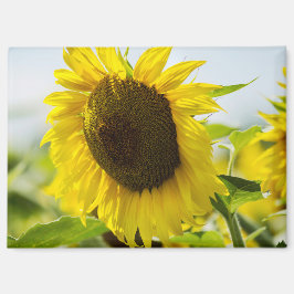 Magneet - Zonnebloemen Zomer Geheimen