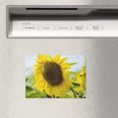 Magneet - Zonnebloemen Zomer Geheimen (Insitu (Vaatwasser))