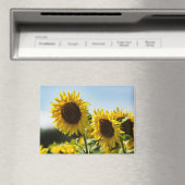 Magneet - Zonnebloemen Zomerstraling (Insitu (Vaatwasser))