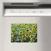 Magneet - Zonnebloemveld Harmonie (Insitu (Vaatwasser))