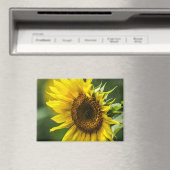 Magneet - Zonovergoten Zonnebloem (Insitu (Vaatwasser))