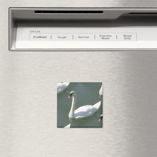 Magneet - Zwanen in kleur (Insitu (Vaatwasser))