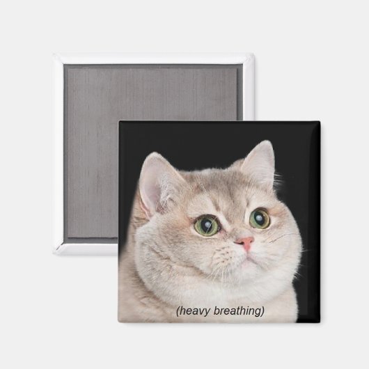 Magneet Zware Ademhaling Cat Meme (Voorkant / Achterkant)