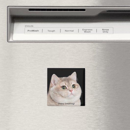 Magneet Zware Ademhaling Cat Meme (Insitu (Vaatwasser))