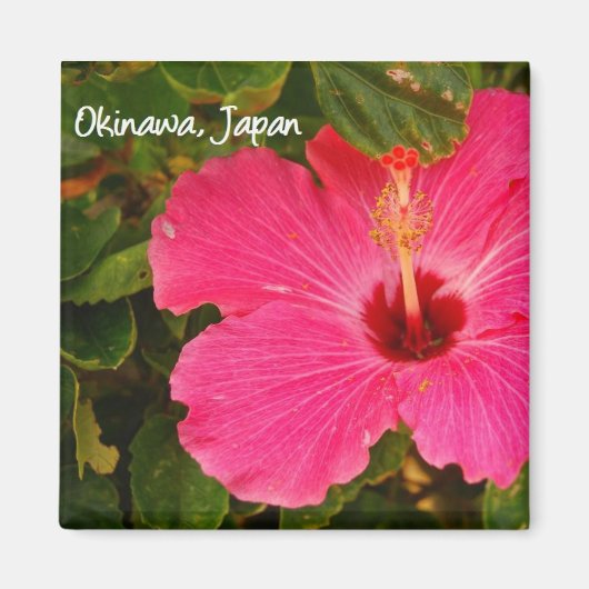 magneetbloem magneet (Voorkant)