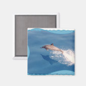 magneetdolfijn magneet (Voorkant / Achterkant)