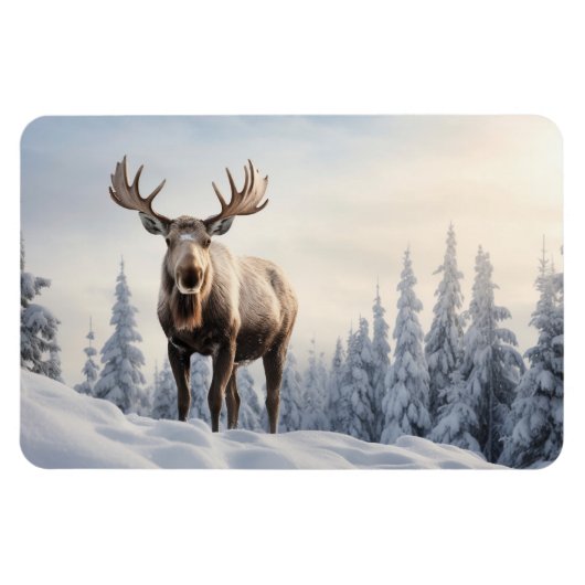 magneeteland magneet (Horizontaal)