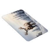 magneeteland magneet (Rechterzijde)