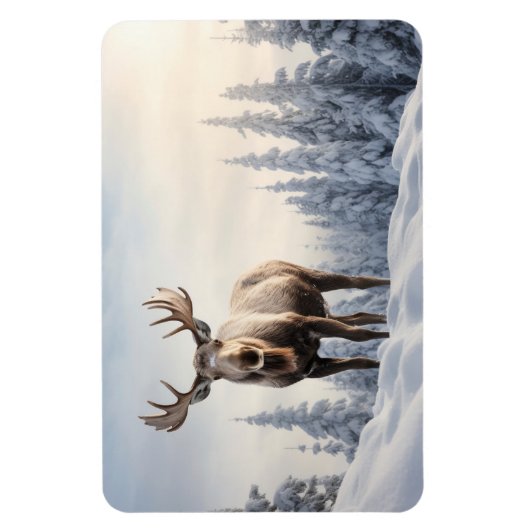 magneeteland magneet (Verticaal)