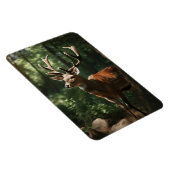 magneethert magneet (Rechterzijde)