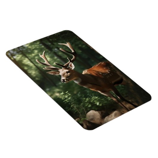 magneethert magneet (Rechterzijde)