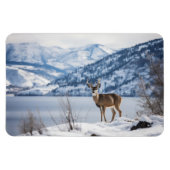 magneethert magneet (Horizontaal)